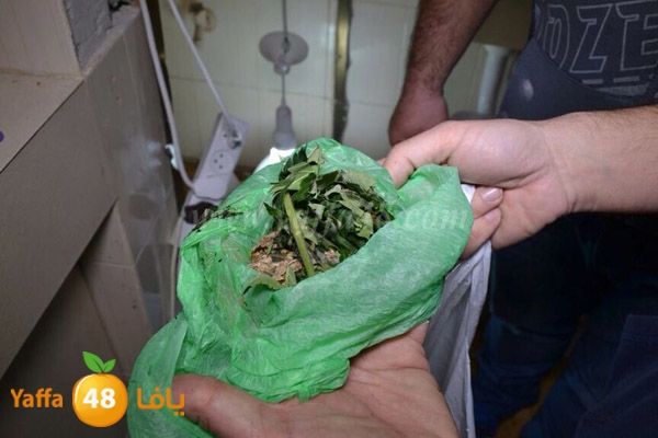 police searrchind 0128 (7).jpg